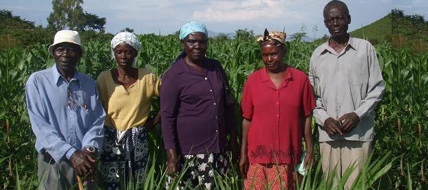 Better yields as a result of Push-Pull technology