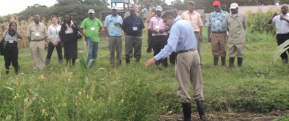 Joint Conservation Agriculture Workshop