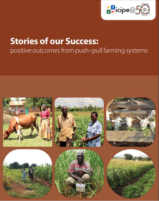 Stories of our success