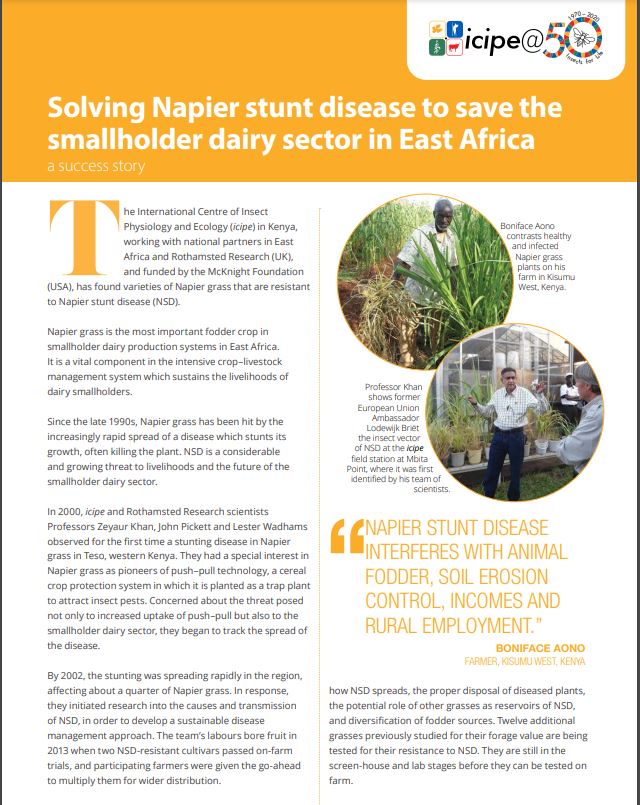 Solving Napier stunt Disease