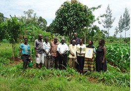 Push-pull farmers
