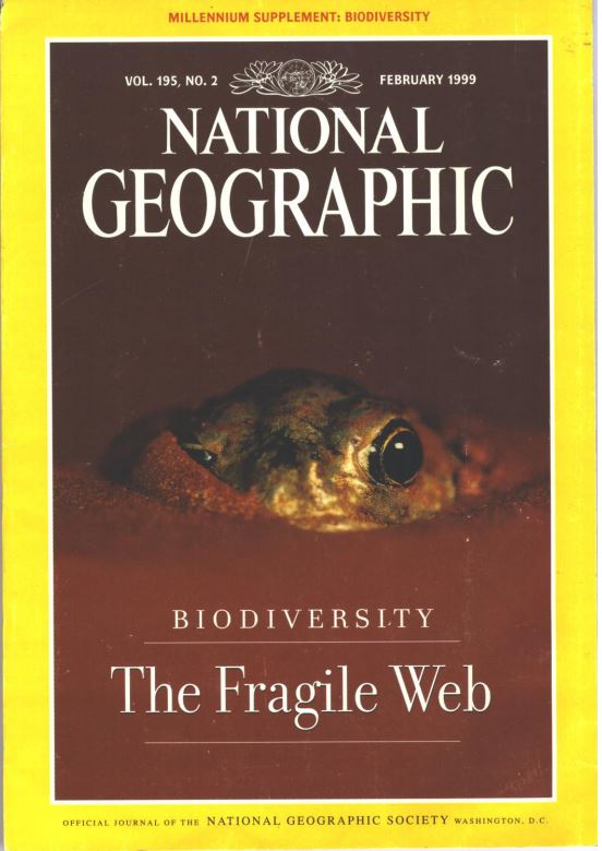 Publications