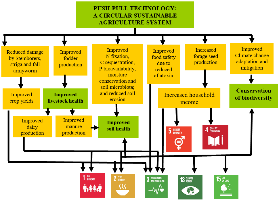 SDGS