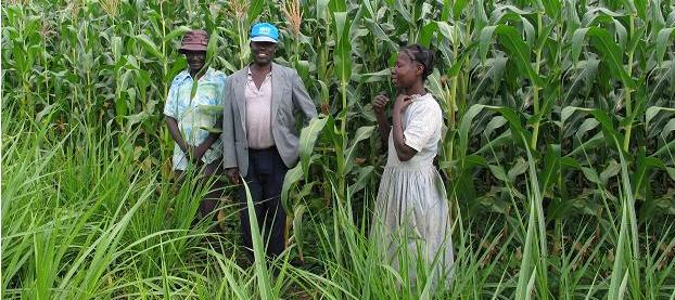 farmers